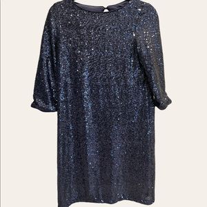 Sequin Navy Dress